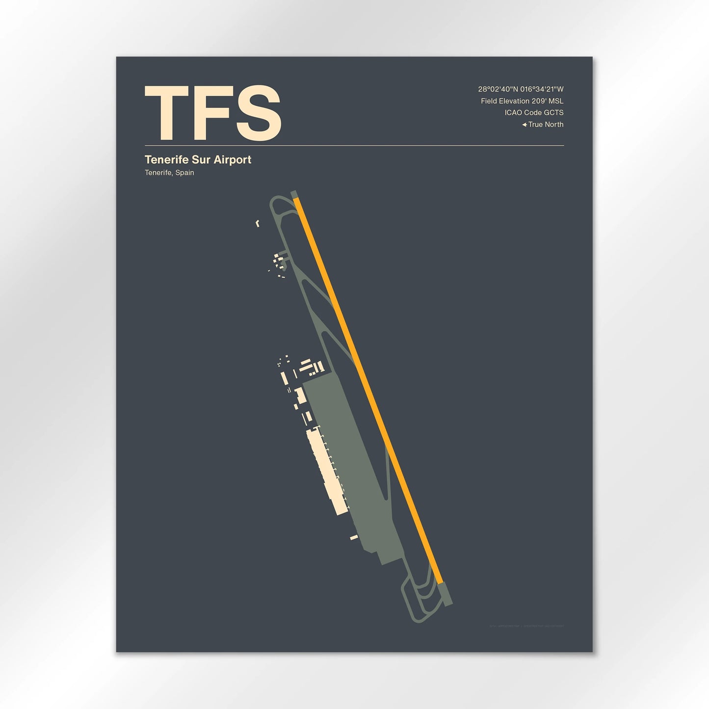 TFS Airport Diagram